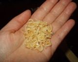 ごく普通の炒飯作り方4写真