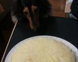 ミルクレープ作り方7写真