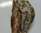 手打ちパスタのカルボナーラ作り方2写真