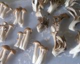 舞茸としめじの豚肉巻き作り方2写真