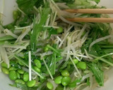 【簡単♪】枝豆と水菜のナムル風サラダ作り方2写真