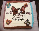 愛犬ケーキ(×犬用○人間用)作り方16写真
