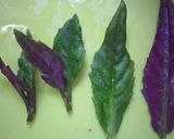 金時草で♪夏色ちらし寿司作り方3写真