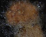 改良版さらに簡単驚愕のメンチカツ作り方10写真