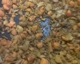 本格☆簡単インドカレー作り方8写真