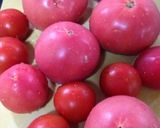 2kgトマトが500gに濃厚トマトソース作り方8写真