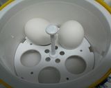 簡単♪便利な♬野菜サラダ作り方1写真