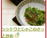 シシトウとじゃこのさっと炒め作り方3写真