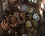 プロ直伝！柳原さん家のあさりの酒蒸し☆作り方3写真