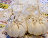 にんにくの一先ず保存はこれ!作り方10写真