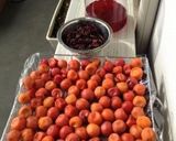 基本梅干しの作り方作り方11写真