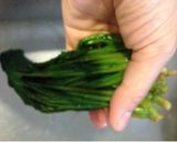 簡単!ほうれん草と大根のポン酢あえ作り方1写真