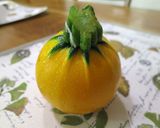 丸ズッキーニの詰めもの (ファルシー)作り方1写真