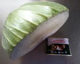 困った時のキャベコン！作り方5写真