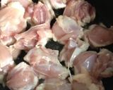 鶏肉と夏野菜のとろとろ煮作り方1写真