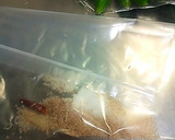 母直伝、きゅうりの浅漬け作り方2写真
