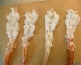 びっくりエビフライ！！作り方5写真