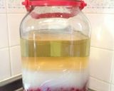 レッドカラントのサワードリンク作り方9写真