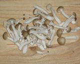 野菜と糸こんにゃくのキムチ炒め作り方6写真
