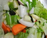 キュウリとかぶといろいろ野菜の浅漬け作り方2写真