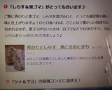 青のりとしらす　黒ごまおにぎり作り方2写真