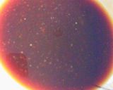 お肉柔らか☆こく旨ゴーヤチャンプルー作り方6写真