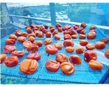 うめぼし作り方30写真