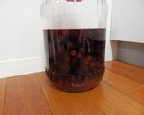 ブラックベリー酒（果実酒）経過日記作り方13写真