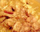 エチオピア風チキン（ドロワット)作り方10写真