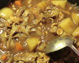 越のルビーとうち豆と昇竜舞茸のカレー作り方12写真