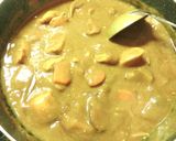 越のルビー&とみつ金時の呉汁カレー作り方17写真