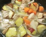 越のルビー&とみつ金時の呉汁カレー作り方9写真
