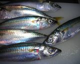 簡単!　いわし　小さば　の　開き方！作り方1写真