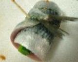鰯のグリーン巻きフライ作り方4写真