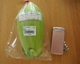 もりやま青トロナスカップカレー作り方1写真