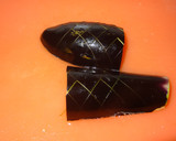いつもの常備菜　茄子と蒟蒻の煮びたし作り方1写真