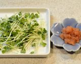 蒸し鶏とかいわれのサラダ✽梅マヨわさび作り方4写真