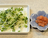 蒸し鶏とかいわれのサラダ✽梅マヨわさび作り方4写真