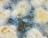 冷めても美味しい♪子供も喜ぶマヨ唐揚げ☆作り方7写真