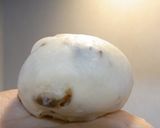 ドライフルーツたっぷり✿テーブルロール✿作り方13写真
