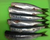 イワシの甘辛生姜煮作り方1写真