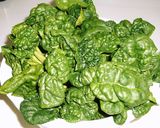 ちぢみほうれん草のお浸し作り方1写真