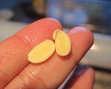 海外でも絹ごし豆腐作っちゃおう！作り方2写真