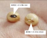 海外でも絹ごし豆腐作っちゃおう！作り方25写真