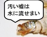 ミイラししゃもマリネ作り方10写真