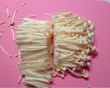 簡単和食♪えのきとコンニャクのきんぴら作り方2写真