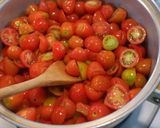 ミニトマト大量消費手作りトマトピューレ作り方4写真