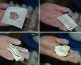 エビワンタン作り方4写真