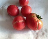 トマト冷凍保存作り方1写真