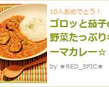 ゴロッと茄子の野菜たっぷりキーマカレー☆作り方13写真